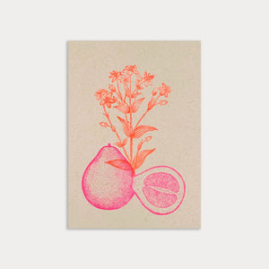 Postkarte Pomelo